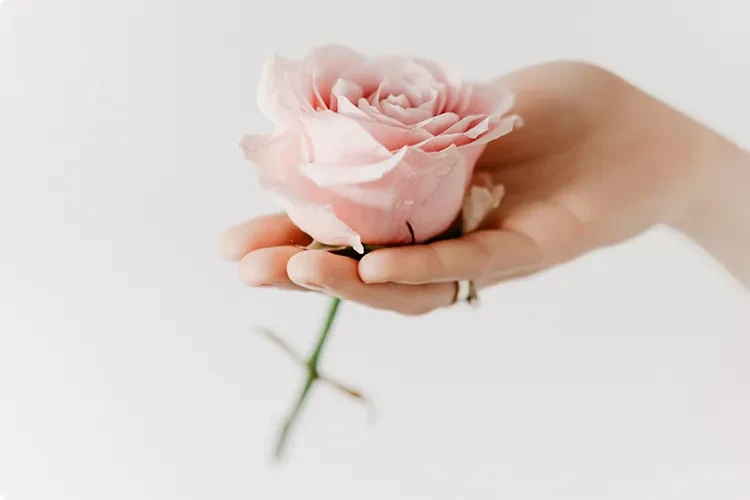 Патологии эндометрия