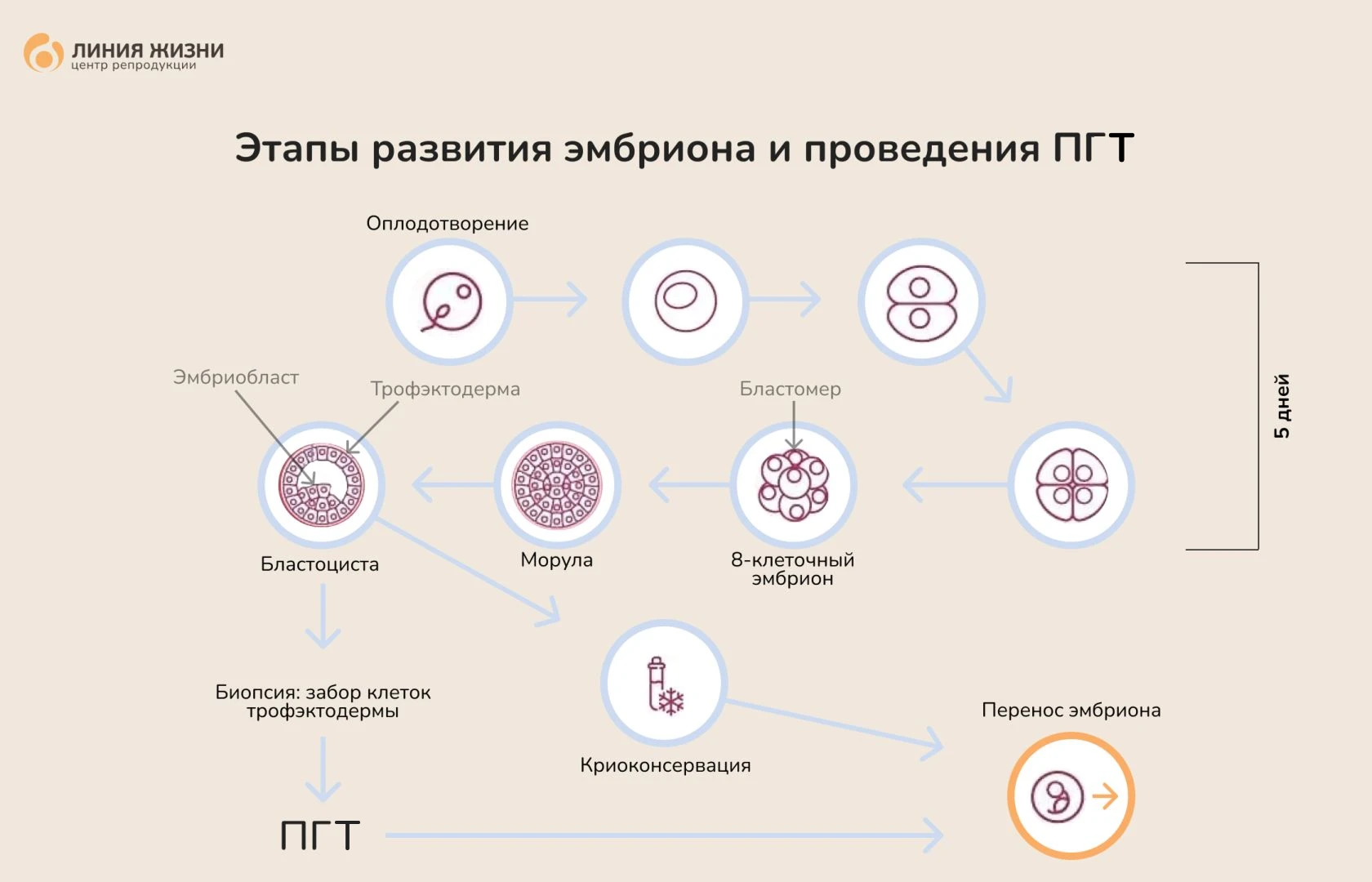 Frame 2087325188.png