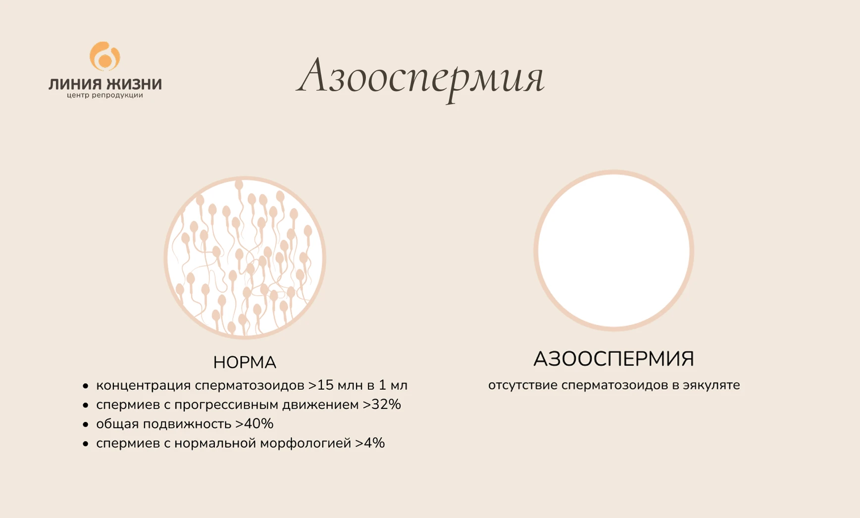 Frame 2087325106.png