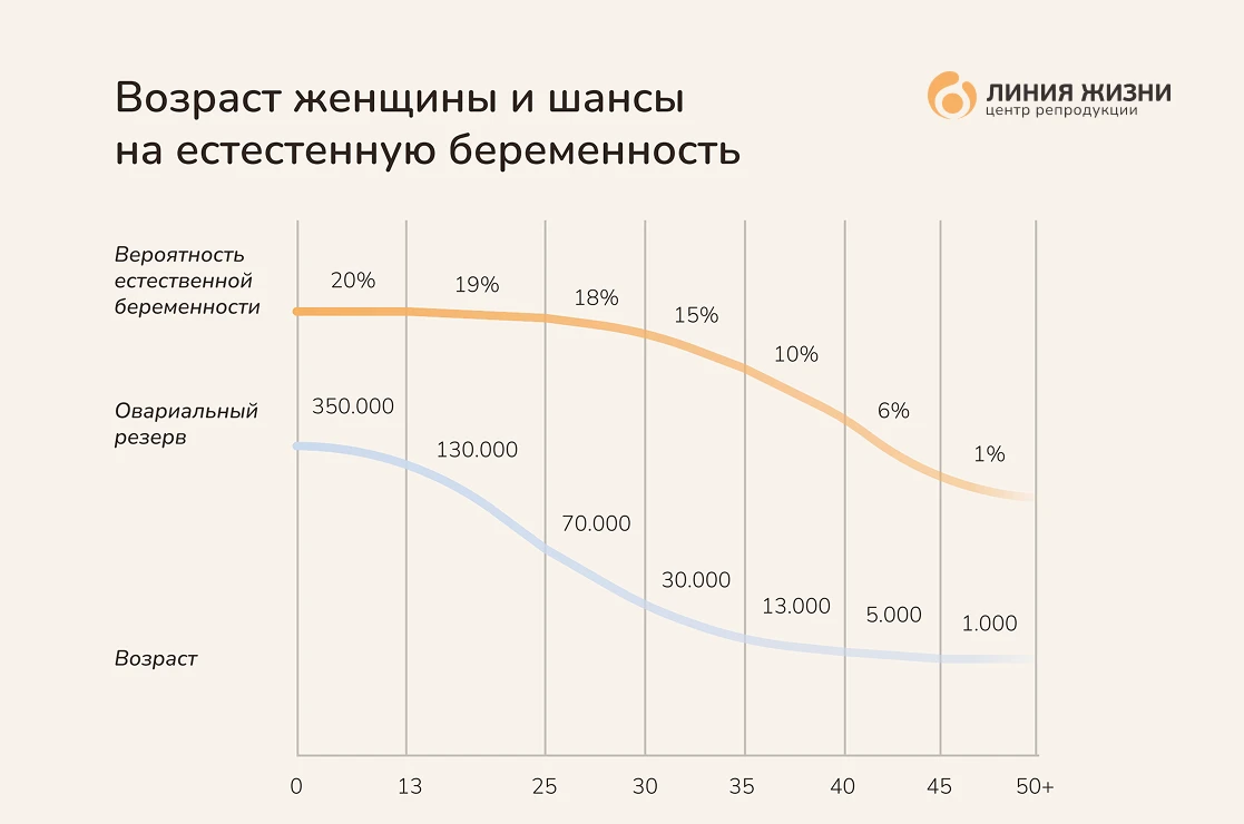 Frame 2087325721.png