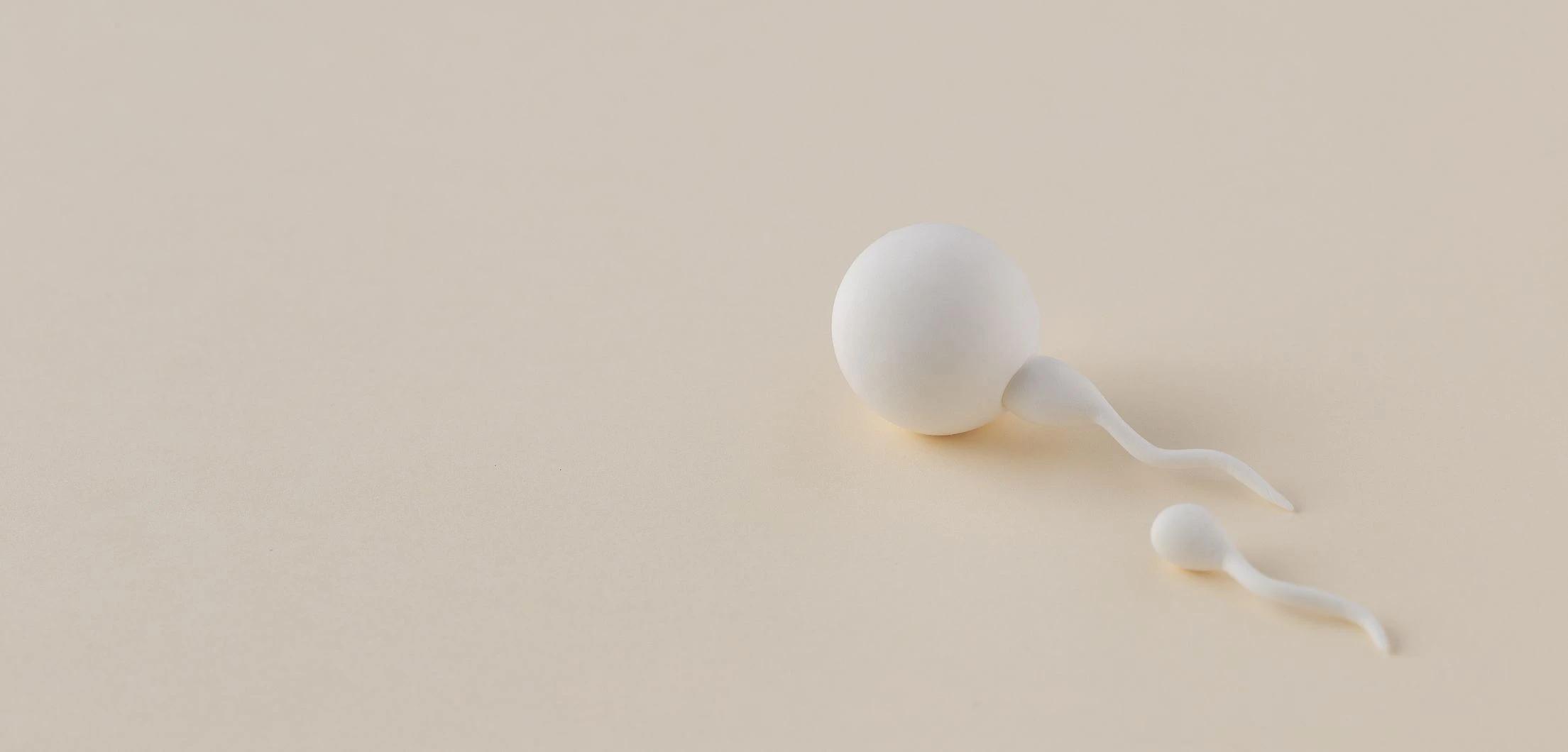 Дефекты головки сперматозоидов