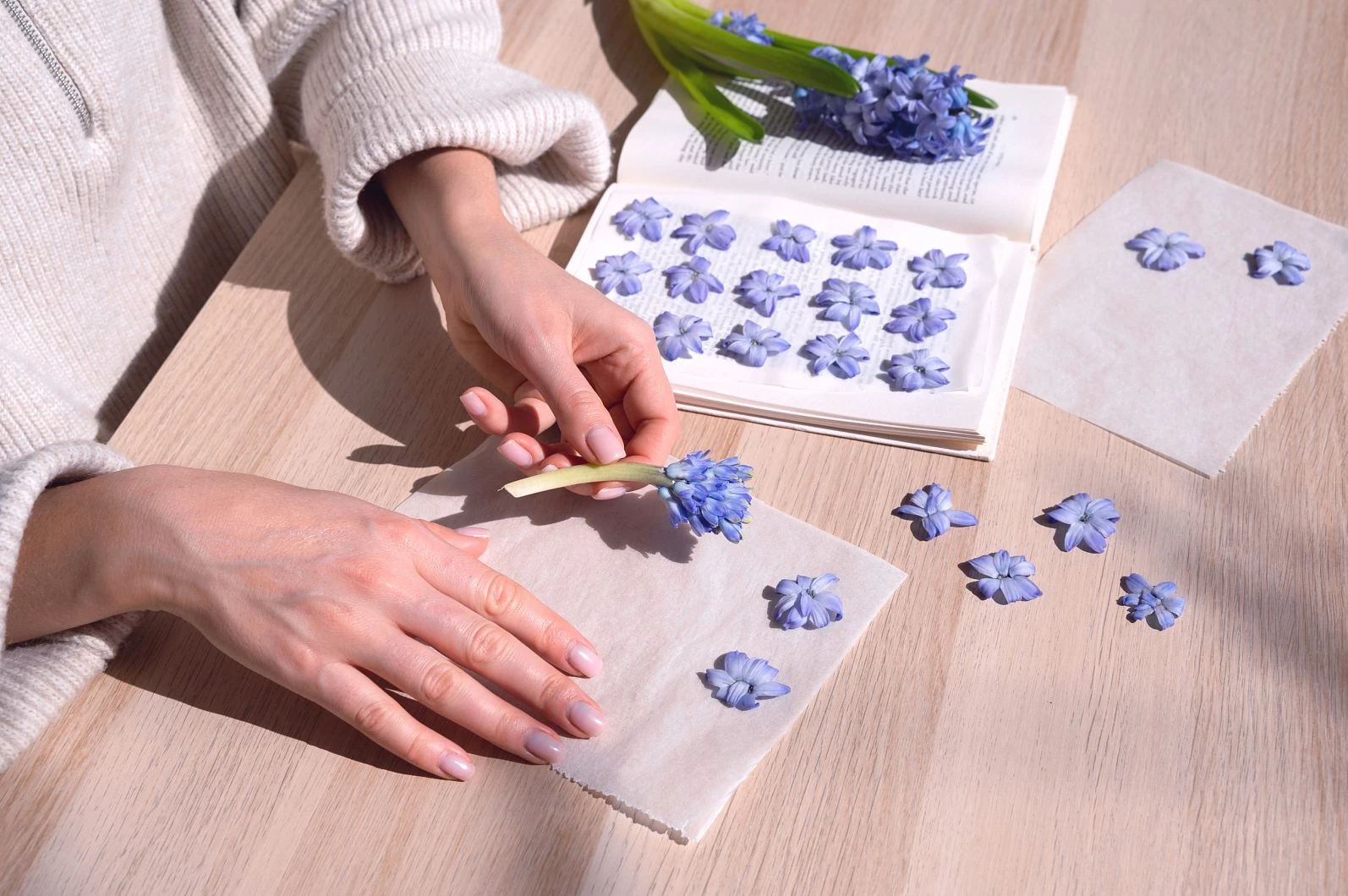 Как узнать, сколько яйцеклеток осталось у женщины?