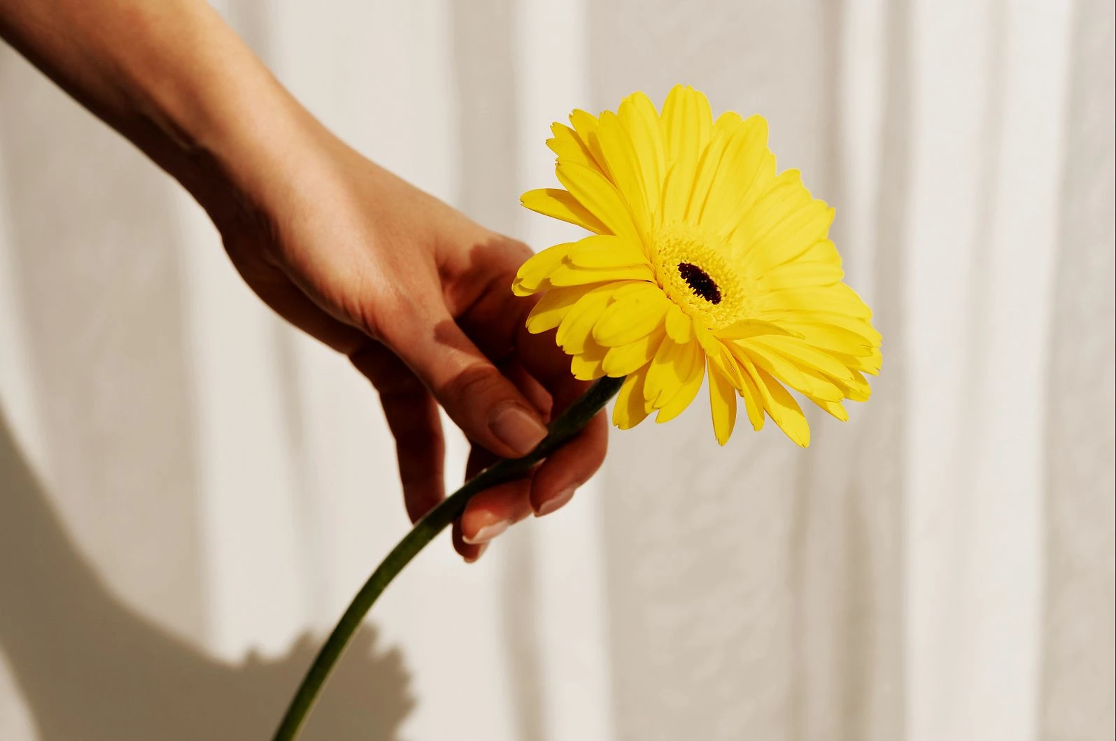 Внутренний эндометриоз