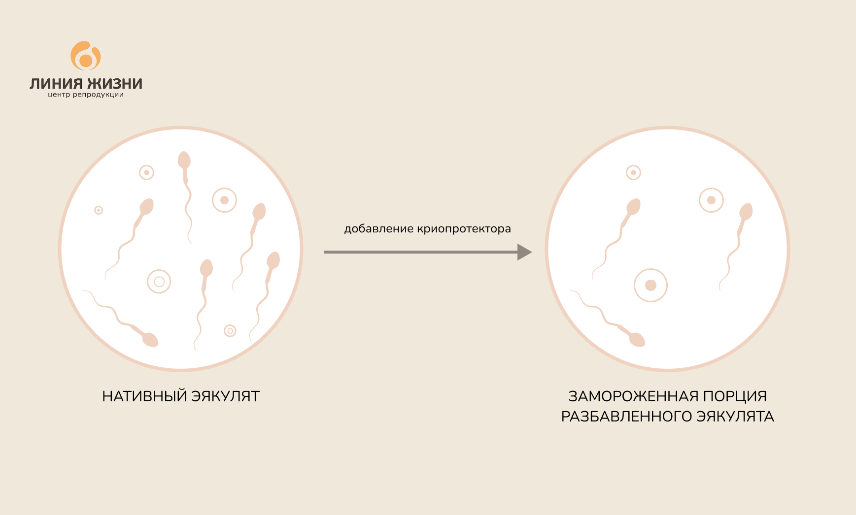 схема 2.png